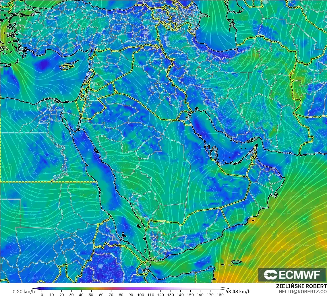 ECMWF IFS 0.25° model - Orta Doğu, 10 m Rüzgâr