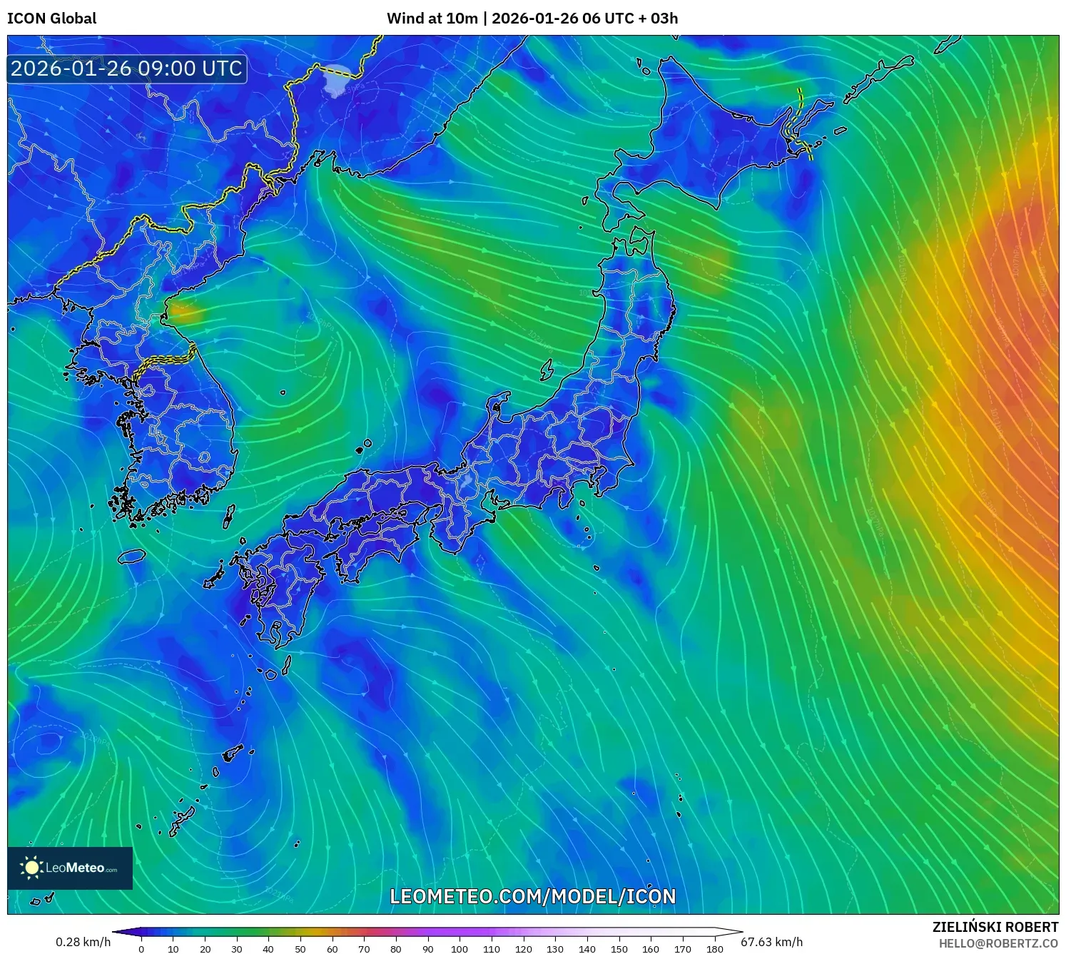ICON model - Japonya, 10 m Rüzgâr