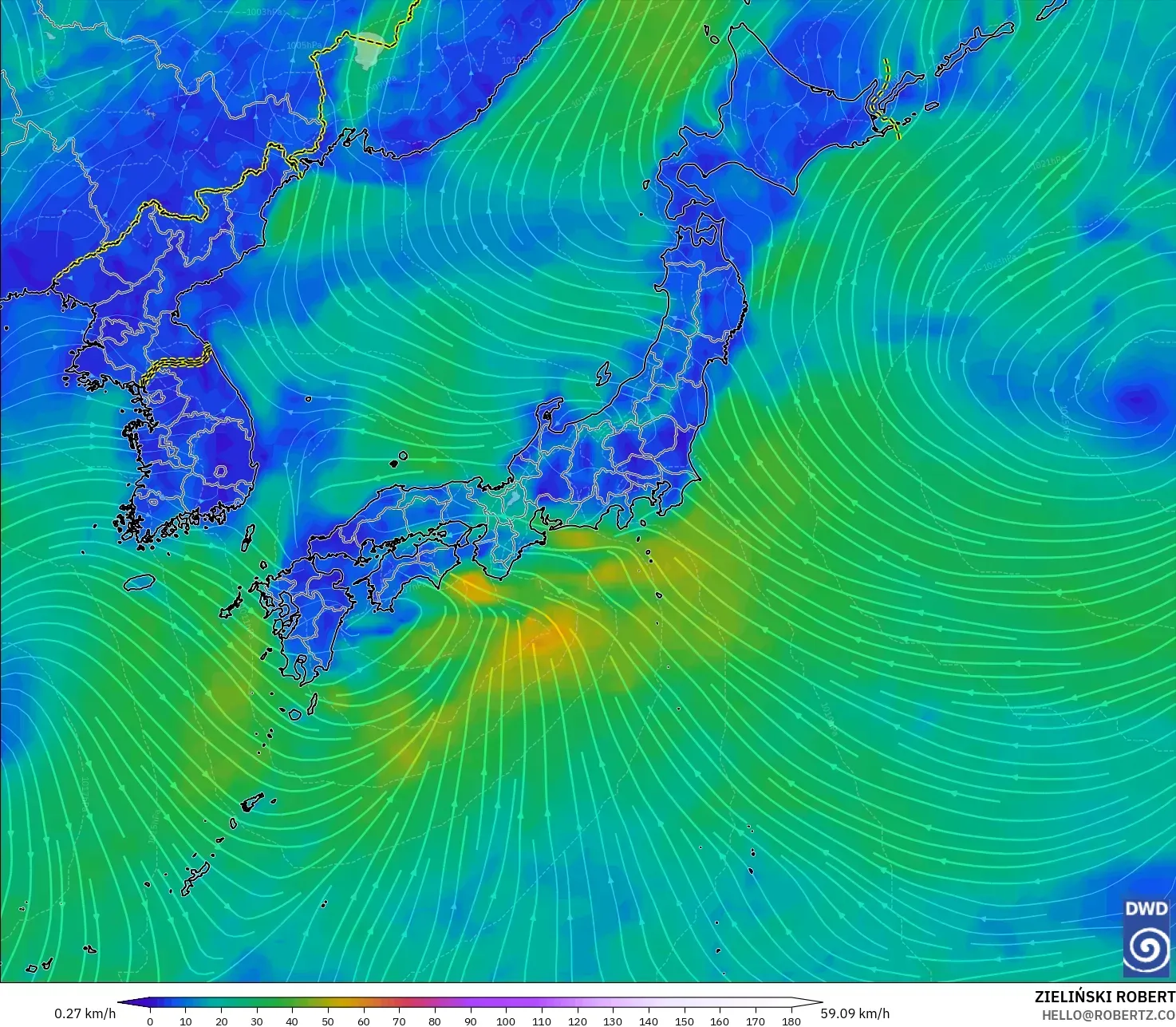 ICON model - Japonya, 10 m Rüzgâr