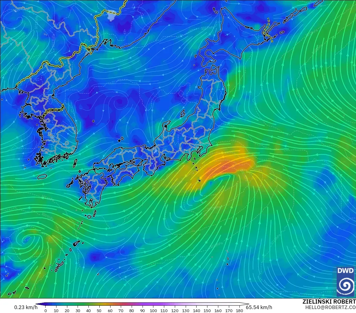 ICON model - Japonya, 10 m Rüzgâr