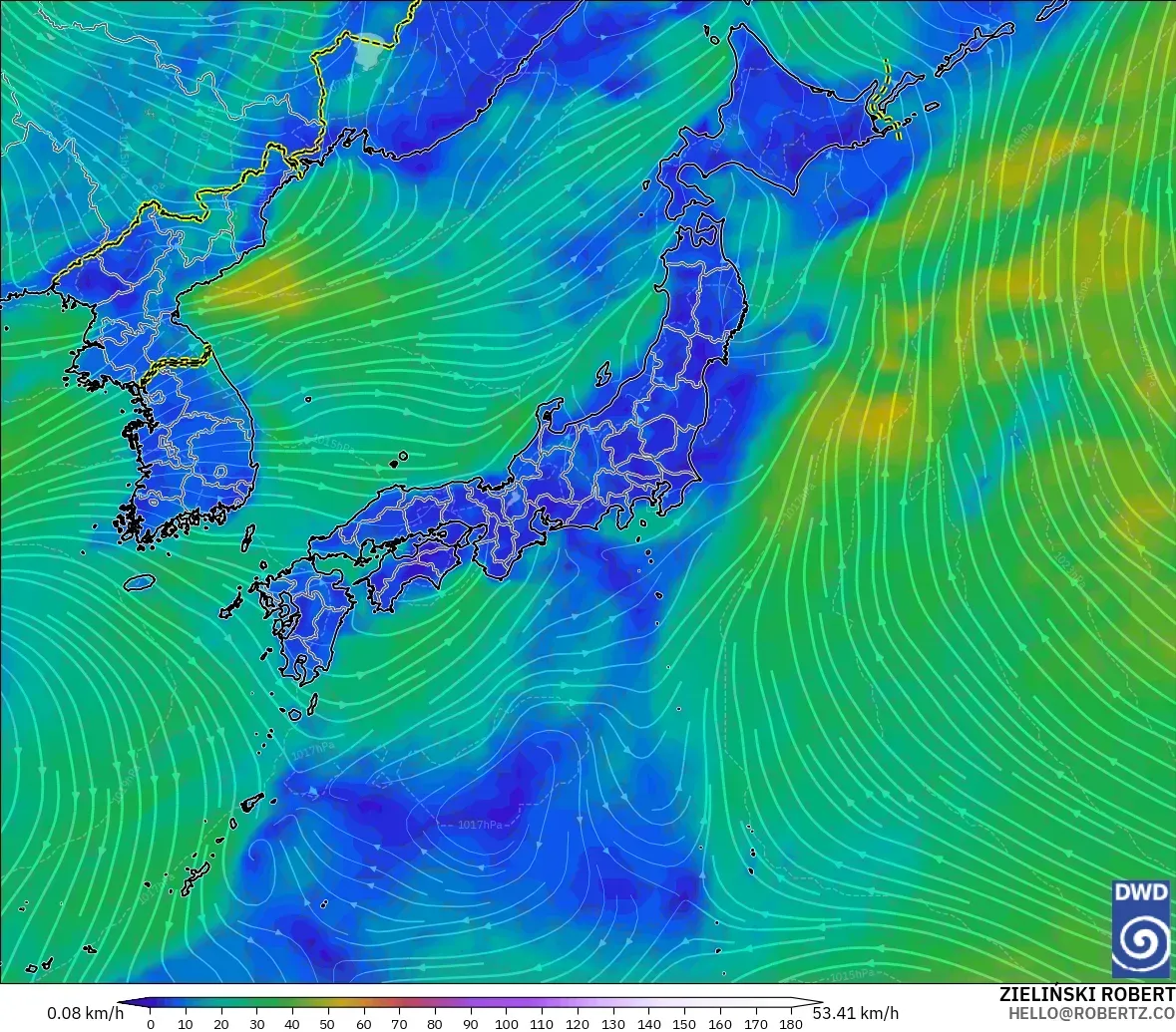 ICON model - Japonya, 10 m Rüzgâr
